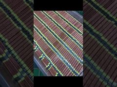 OEM УФ-лампа высокой интенсивности для отверждения, срок службы 20000 часов, для струйного принтера​